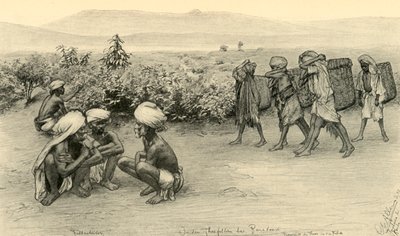 Cueilleurs de thé, Peradeniya, Ceylan - Christian Wilhelm Allers