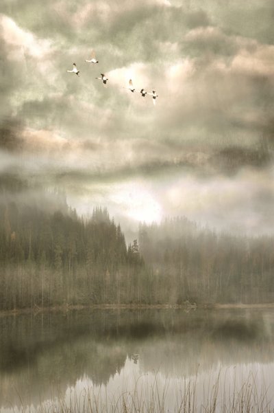  - Christina Sillen