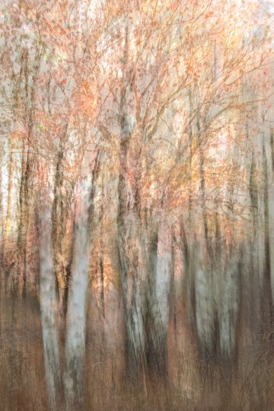  - Christina Sillen