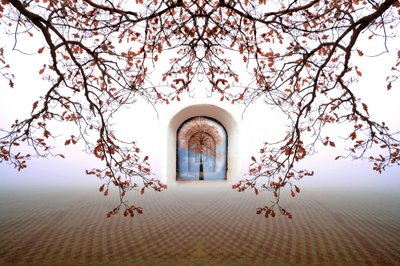 Une arche d