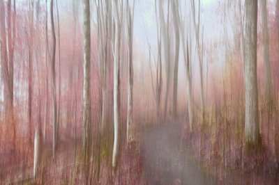  - Christina Sillen