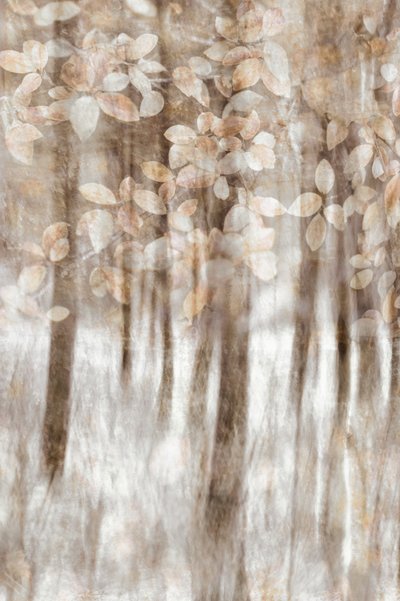 Feuilles de forêt féériques - Christina Sillen