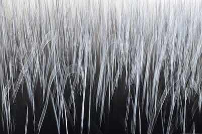 Lignes verticales éthérées - Christina Sillen