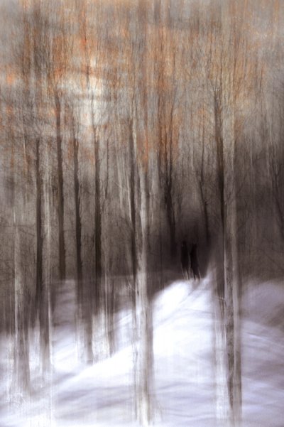 Forêt hivernale éthérée - Christina Sillen