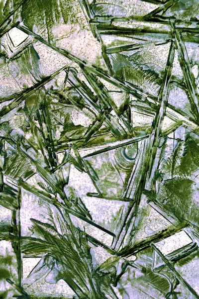 Glace verte fissurée - Christina Sillen