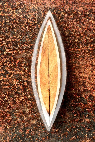 Feuille rustique en relief - Christina Sillen