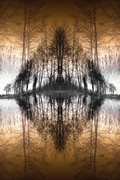 Le lac de la Forêt Miroir - Christina Sillen