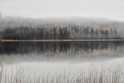 Lac brumeux d