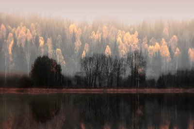 Reflets brumeux d