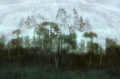 Rêve de la forêt brumeuse - Christina Sillen
