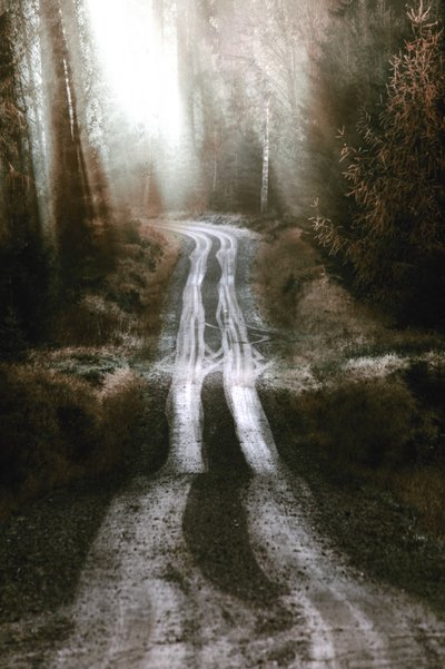 La route de la forêt brumeuse - Christina Sillen