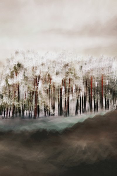 La sérénité de la forêt brumeuse - Christina Sillen
