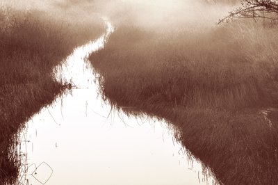 Le sentier de la rivière Misty - Christina Sillen