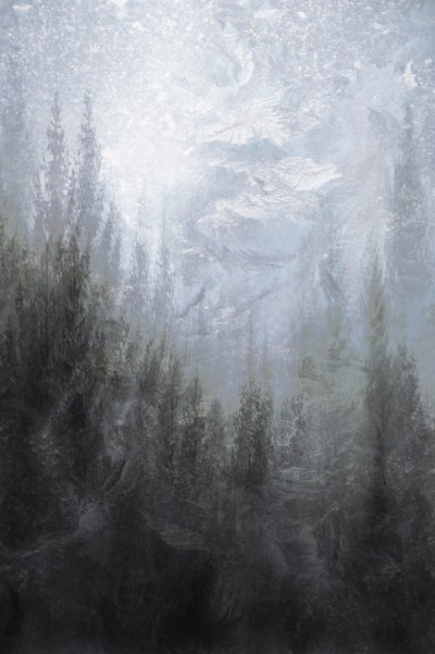 Forêt hivernale brumeuse - Christina Sillen