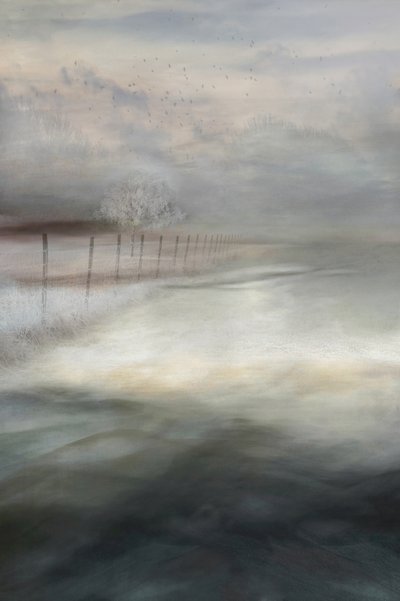 Paysage hivernal brumeux - Christina Sillen