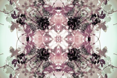 Symétrie botanique en tons neutres - Christina Sillen