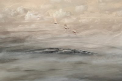 Silver Haze - Christina Sillen