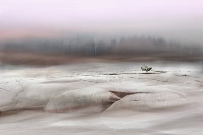  - Christina Sillen