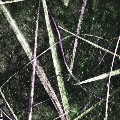 Des lignes vertes entremêlées - Christina Sillen