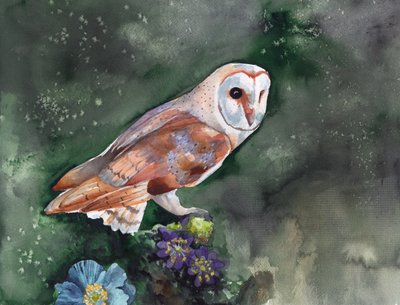 Chouette effraie : fleurs nocturnes - Christine Lindstrom