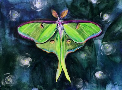 Papillon de nuit lunaire luminescent - Christine Lindstrom