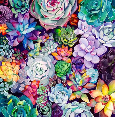 Un jardin de plantes succulentes aux couleurs éclatantes - Christine Lindstrom