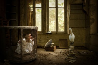 La femme en cage et le pélican - Christine von Diepenbroek