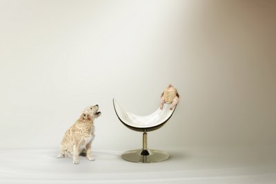Le dilemme du chien et du poulet - Christine von Diepenbroek