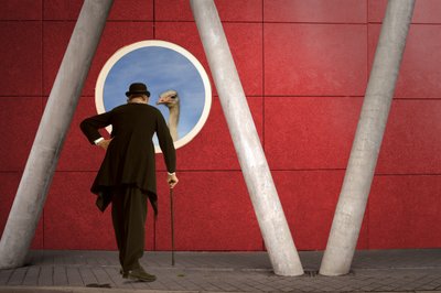 Le gentleman et l
