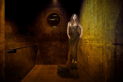 La mystérieuse femme du portail - Christine von Diepenbroek