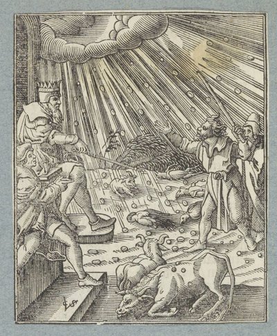 Plaag van de veepest of plaag van hagel en onweer - Christoffel van Sichem (II)