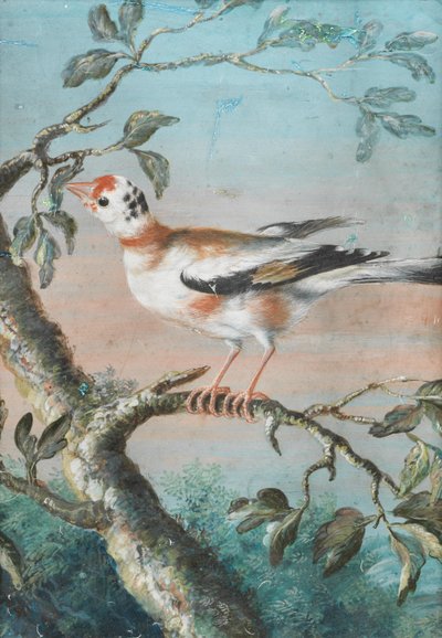 Un oiseau assis sur une branche - Christoph Ludwig Agricola