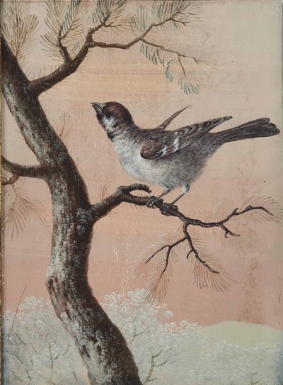 Mésange sur une branche - Christoph Ludwig Agricola