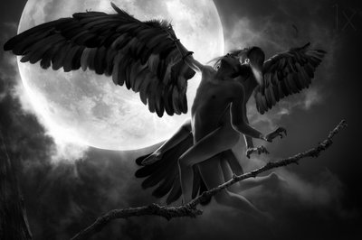 Étreinte ailée au clair de lune - Christophe Kiciak