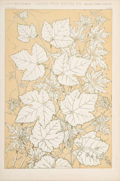 Feuilles de la nature, 1868 - Christopher Dresser