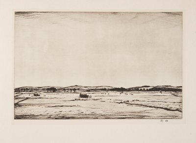 Sussex Downs - Christopher Richard Wynne Nevinson