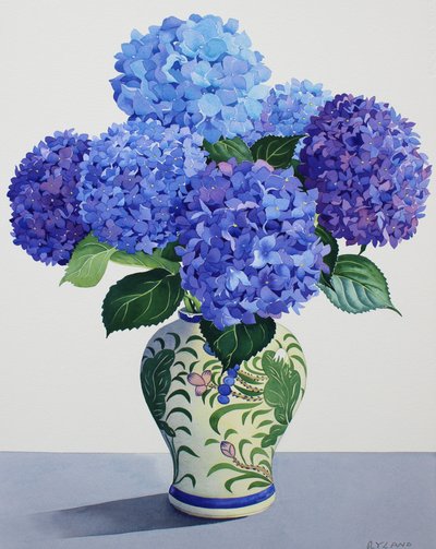 Hortensias bleus - Christopher Ryland