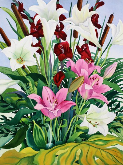 Lys et massettes - Christopher Ryland