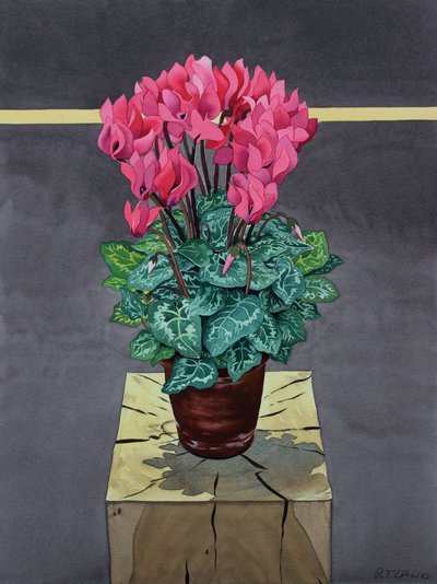 Nature morte Cyclamen - Christopher Ryland