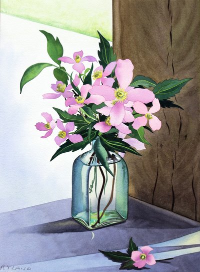 Nature morte Clematis roses - Christopher Ryland