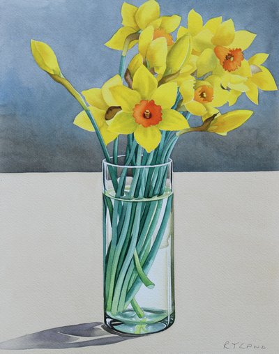 Jonquilles de Supermarché - Christopher Ryland