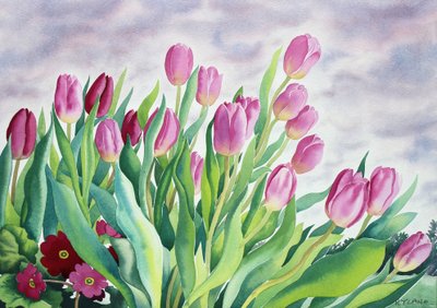 Tulipes par la fenêtre - Christopher Ryland