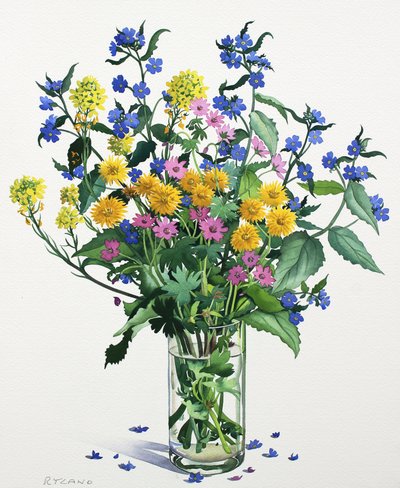 Fleurs sauvages avec Alkanet, 2021 - Christopher Ryland