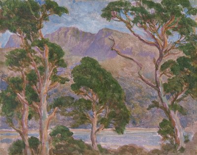Cader Idris - Christopher Williams
