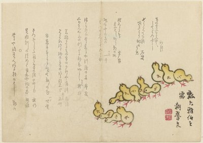 Poussins - Chôsui