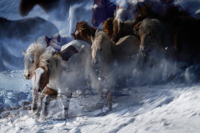 Chevaux sauvages éthérés - Chuanxu Ren