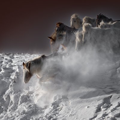 Chevaux des neiges au galop - Chuanxu Ren