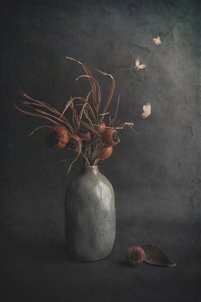  - Cicek Kiral