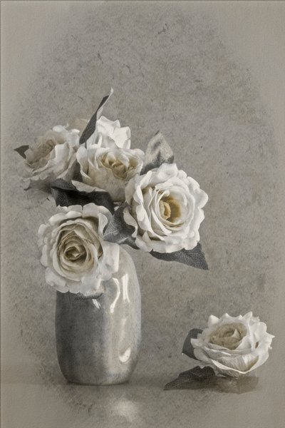  - Cicek Kiral