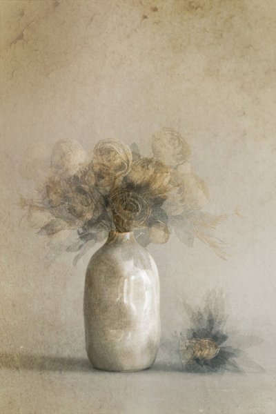  - Cicek Kiral